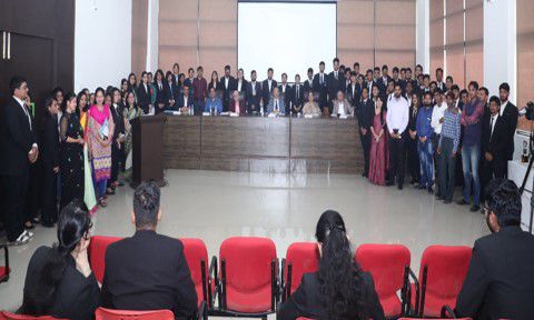 Odoo - Sample 1 for three columns