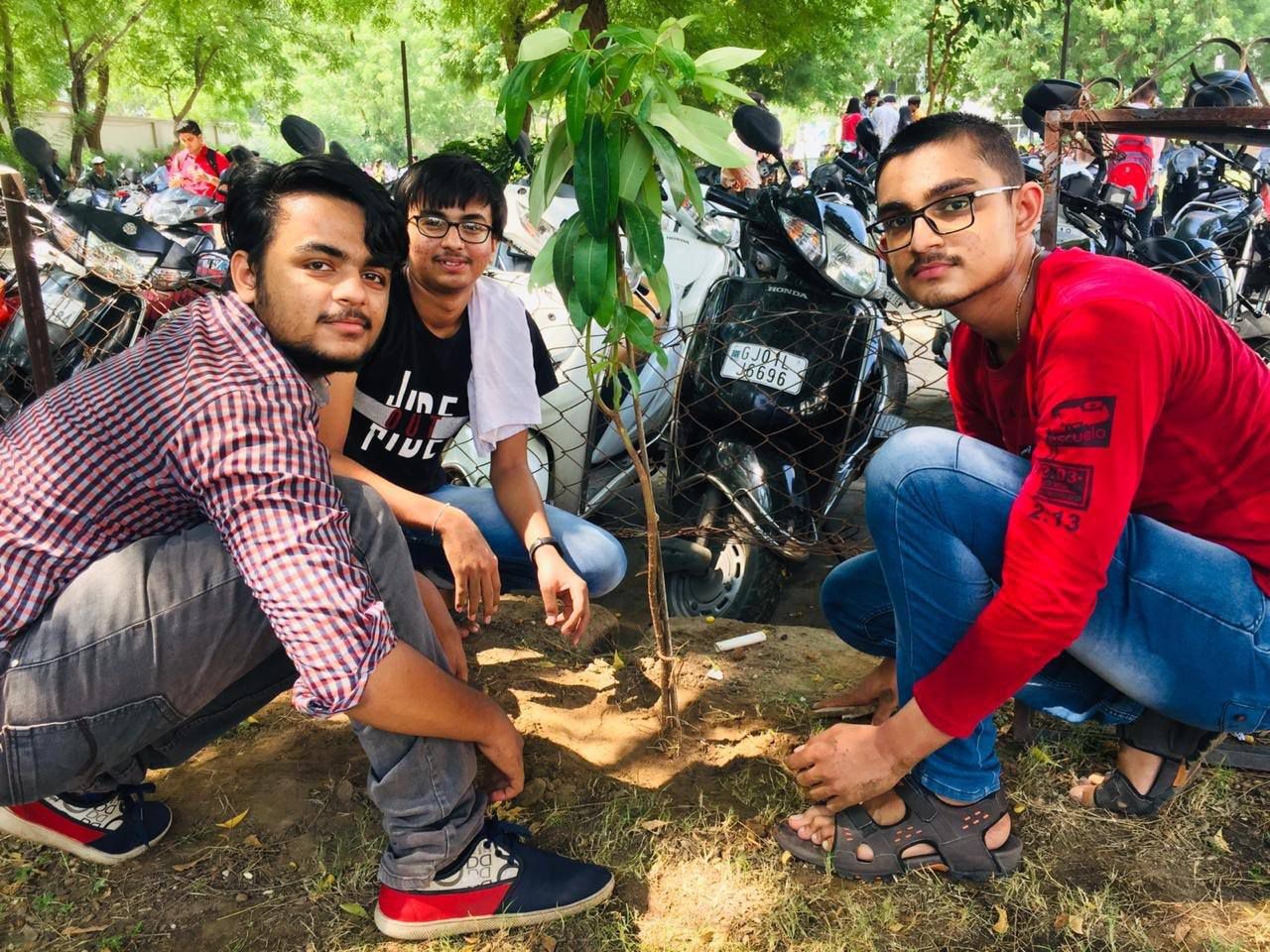 Odoo - Sample 1 for three columns