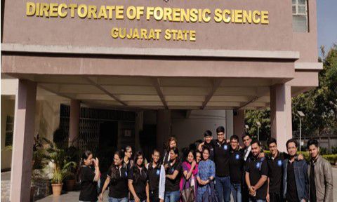 Odoo - Sample 3 for three columns